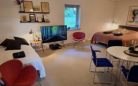 Stort og dejligt værelse med privat bad